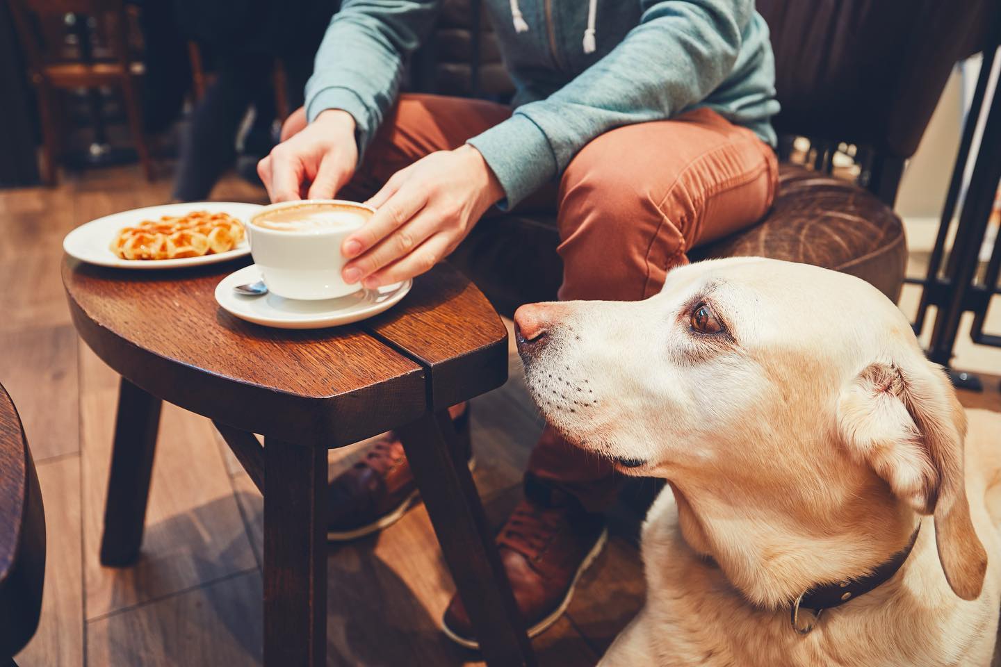 Pet-Friendly Restaurants in Nevada 🐶 From sunbathing spots on patios to dog-friendly treats and carefully crafted menu items, the goodest boys and girls will agree that these are among the best destinations for you and your pups to dine in Nevada. Check out the list at FabulousNevada.com.