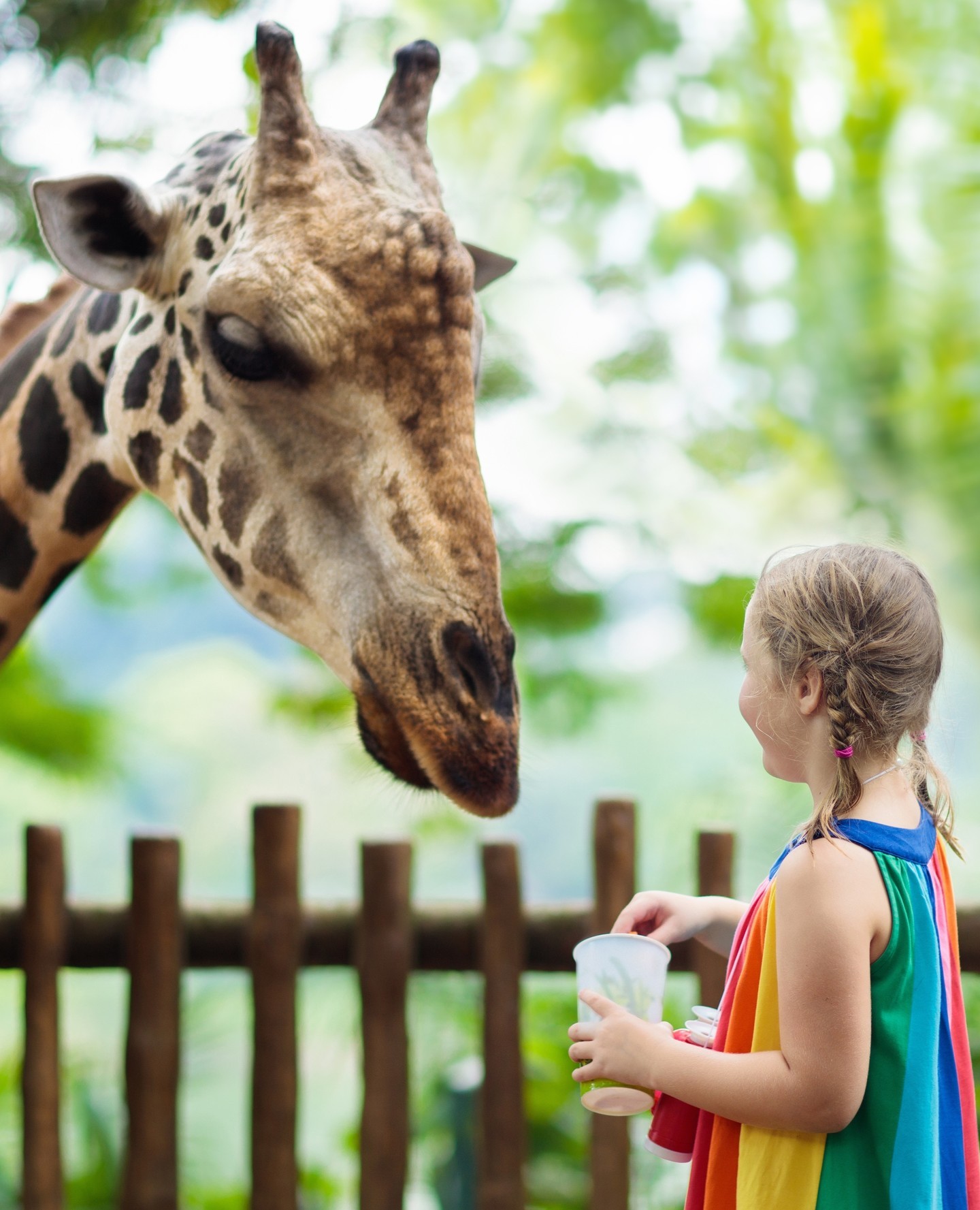 Top 5 Places to See Animals in Nevada 🦒 From feeding exotic sharks and swimming with dolphins to enjoying a relaxing day with loved ones at the local zoo, we have the top five spots to see animals in Nevada on FabulousNevada.com. ⁠
⁠